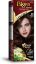Picture of BIGEN WOMEN SPEEDY COLOR DEEP CHESTNUT 44-4375