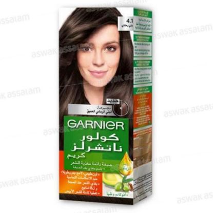 Picture of GARNIER COLOR NATURALS TUBE 4.1 ASHY BROWN 0081