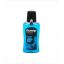Picture of CLOSE UP COOL BREEZE MOUTH WASH 300 ML