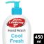 Picture of LIFEBUOY HAND WASH COOL FRESH 12X450ML 8725