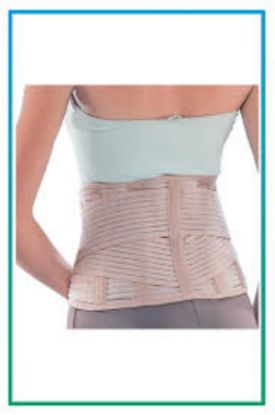 Picture of CONWE BACK SUPPORT 5502 XL#XXL