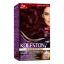 صورة KOLESTON PACK 3/66 VIOLET