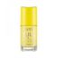 Picture of FLORMAR FULL COLOR NAIL ENAMEL FC20