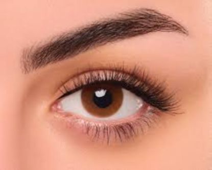 صورة عدسات فريش ايز اليومية- ميستي