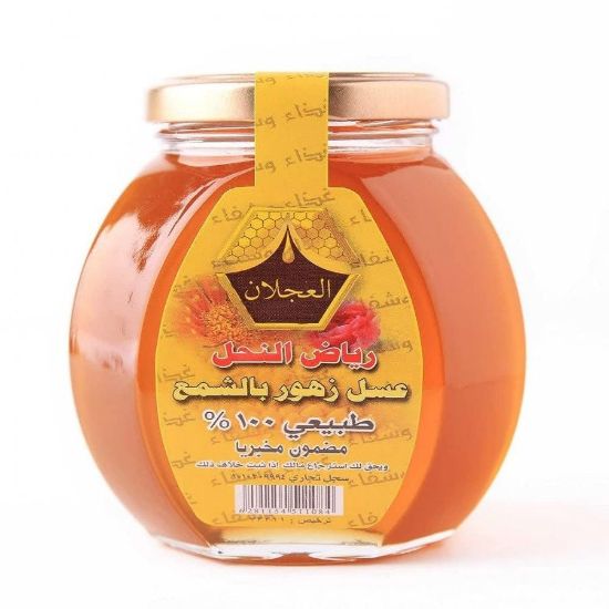 صورة رياض النحل  250 ملى