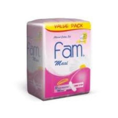 Picture of FAM MAXI ONE STEP 4 - 6 X 3 X 10 L210N01