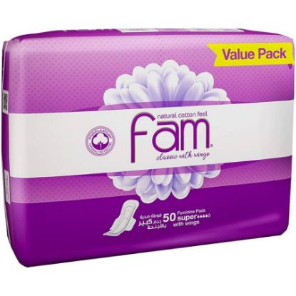 Picture of FAM REGULAR WINGS ECO 4 X 3 X 10 L160C01 - 220375
