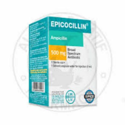 Picture of EPICOCILLIN 500MG VIAL