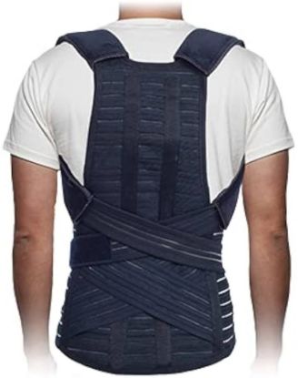 صورة حزام ظهر كامل M **Nsp-901