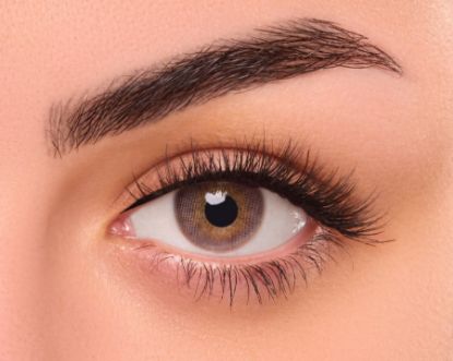 صورة عدسات فريش ايز اليومية- روز