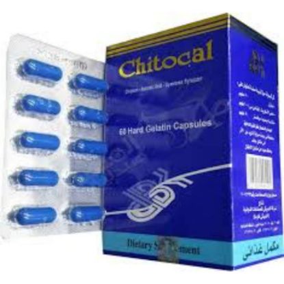 Picture of CHITOCAL 60CAP