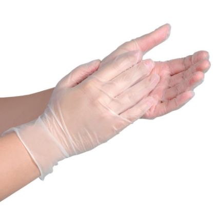 Picture of GLOVES THERMOPLASTIC CLEAR LARGE JAMA 1308