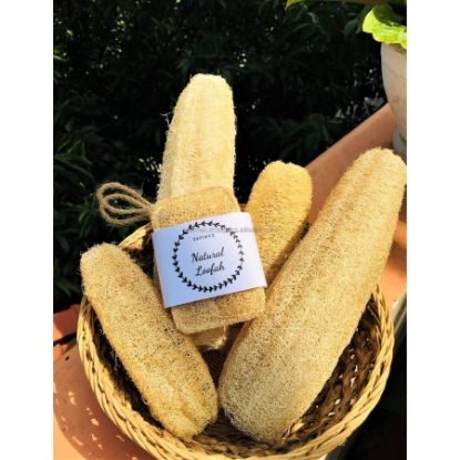 Picture of BRIDAL BATH LOOFAH K01 NOON