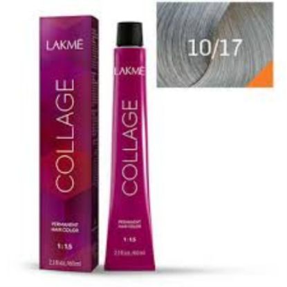 Picture of LAKME H.C : 10/17 (أشقر بلاتيني رمادي)