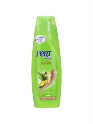 Picture of PERT PLUS SHAMPOO ANTI HAIR FALL GINGIR 400 ML 11201185-5816