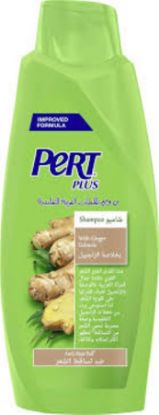 Picture of PERT PLUS SHAMPOO ANTI HAIR FALL GINGER 600 ML