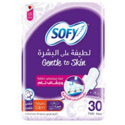 صورة سوفى رقيقه كبير بالاجنحه لطيفه على البشره 29 سم 30 فوطه