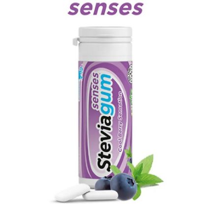 صورة ستيفيا علك خالي من السكر بالنعناع و التوت الازرق