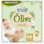 Picture of BABY JOY OLIVE HS  MEGA 2 SMALL 3 X 68 - 8135