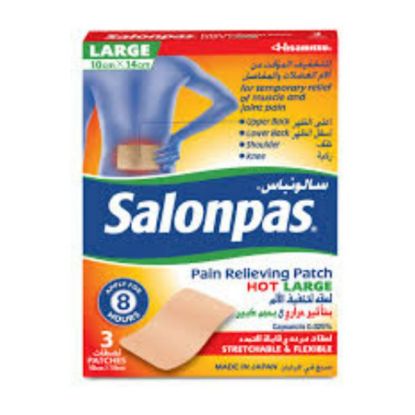 صورة سالونباس لصقة ظهر 3 لصقات