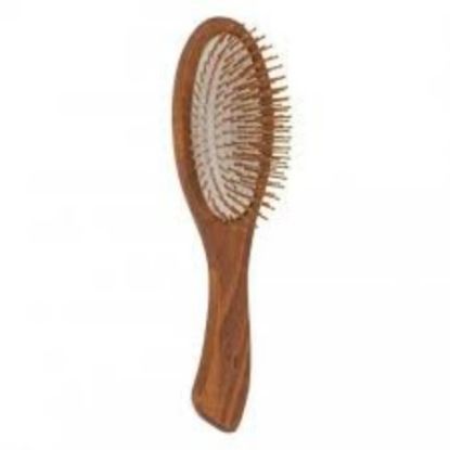 صورة No SFDA - شويب فرشاة بيضاوي كب