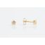Picture of STUDEX SENSITIVE FASHION EARRING S452 GOLD STAR CUT 9304