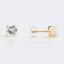 Picture of STUDEX SENSITIVE FASHION EARRING S740 GOLD CUBIC ZIRCONIA 97